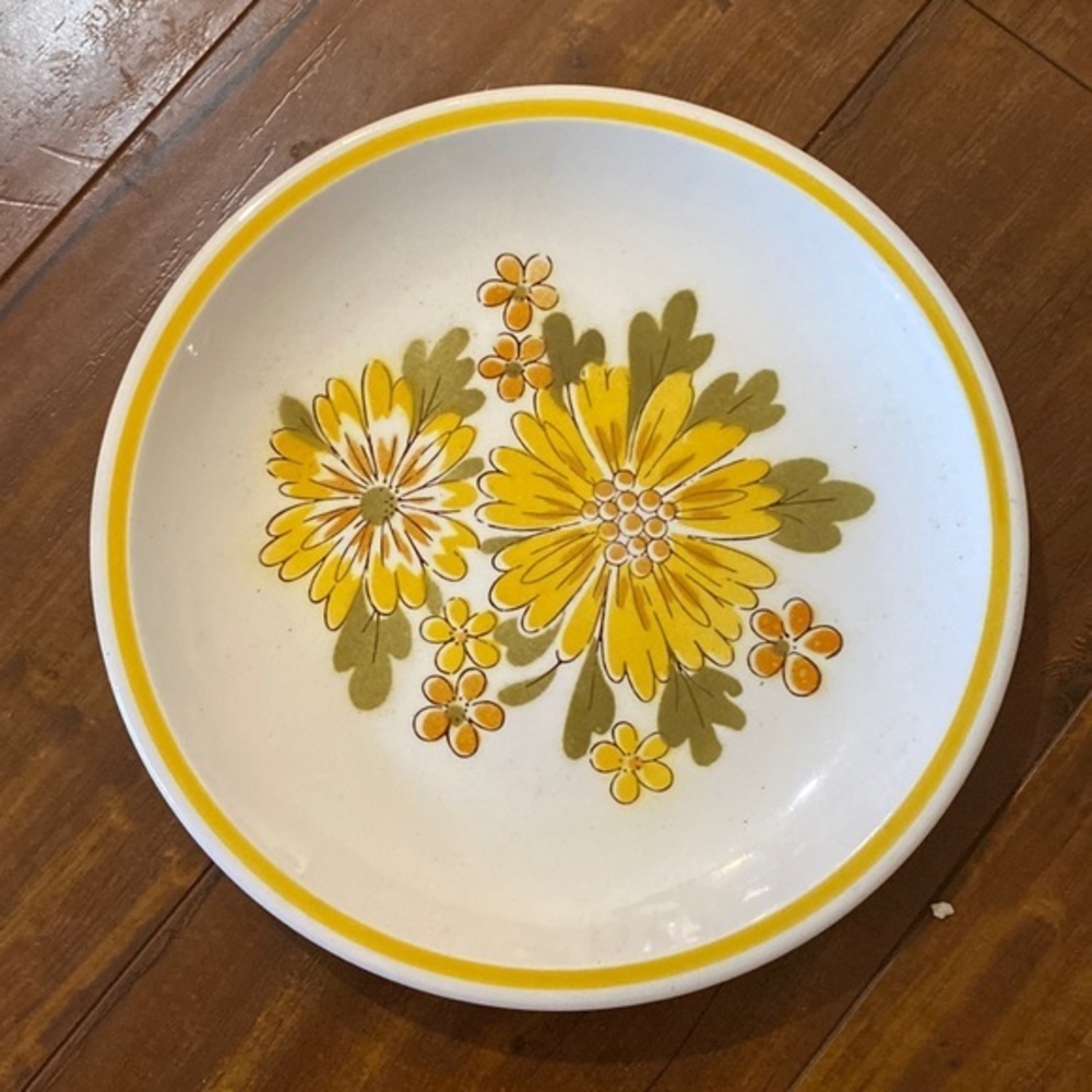 1970s Premiere‎ Colorama Stephanie plate Made in Japan Oven to Table
